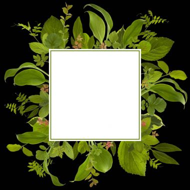 çok güzel bahçe orman yaprak çayır arka plan 