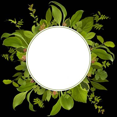 çok güzel bahçe orman yaprak çayır arka plan 