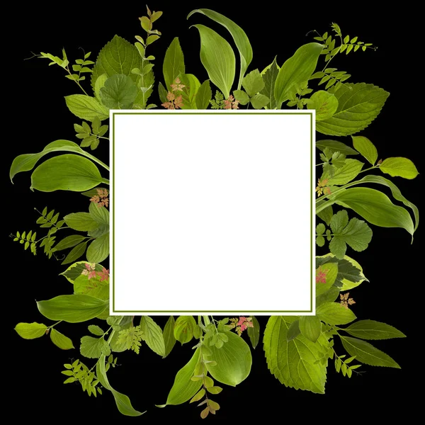 çok güzel bahçe orman yaprak çayır arka plan 