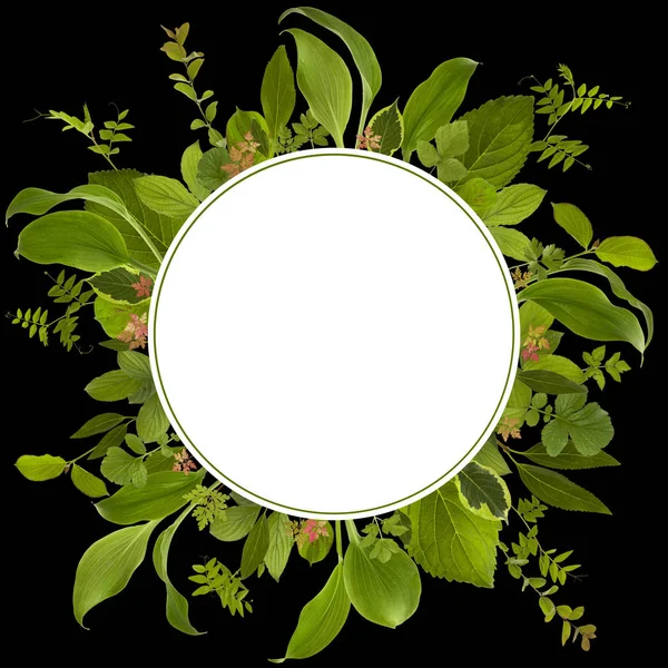 çok güzel bahçe orman yaprak çayır arka plan 