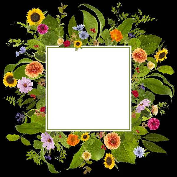 Чарівний квітковий луговий фон — стокове фото