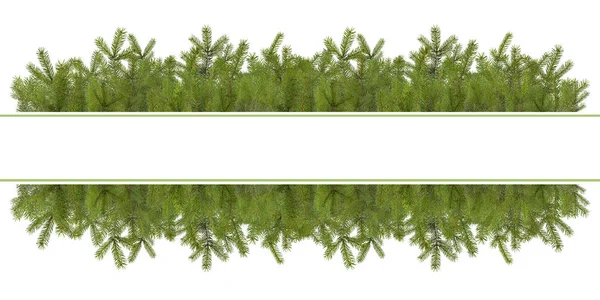 Dekorację świąteczną gałęzi sosnowych na białym tle — Zdjęcie stockowe