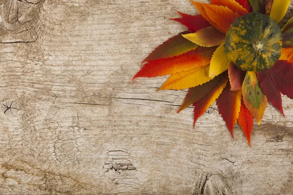Hojas de otoño de colores con calabaza en la placa de madera se puede utilizar como fondo — Foto de Stock