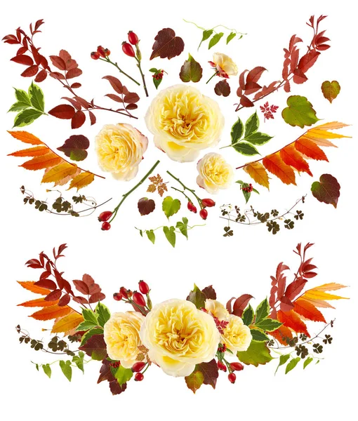 Трояндова квітка кліпарт з окремим листям — стокове фото