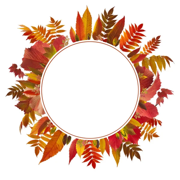 Барвистий осінній фон листя з вільним простором — стокове фото