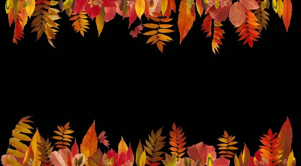 Барвистий фон осіннього листя — стокове фото
