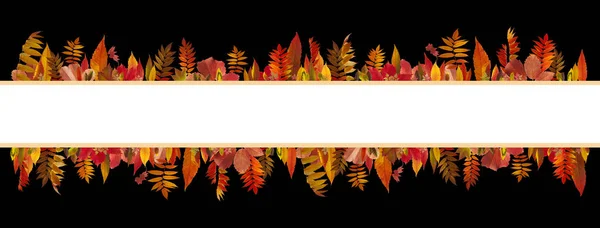 Барвистий фон осіннього листя — стокове фото
