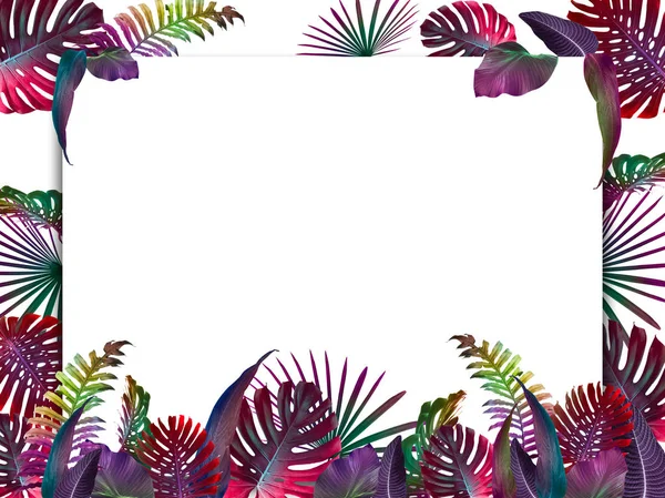 Colorido fondo tropical de verano con hojas de palma exóticas —  Fotos de Stock