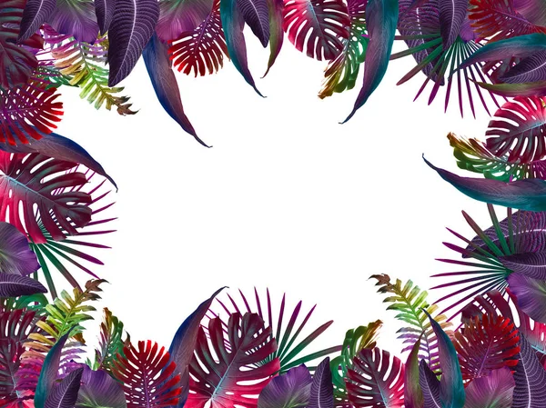 Sfondo tropicale estivo colorato con foglie di palma esotiche — Foto Stock