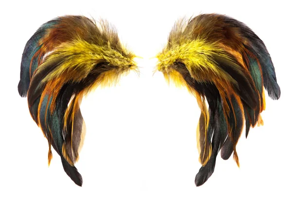 Plumes de coq jaune, marron et noir isolées — Photo