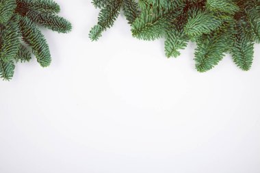 Senin metin için yer ile izole çam dalları Noel dekorasyon