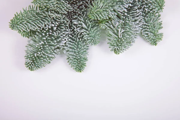 Pine Branches Christmas Decoration Isolated Space Your Text — Stock Photo, Image