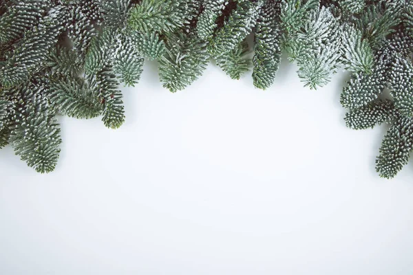 Tannenzweige Weihnachtsdekoration Isoliert Mit Platz Für Ihren Text — Stockfoto