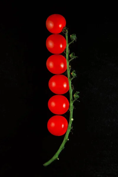 Verse Rijpe Tomaten Een Rij Een Stok Studio Shoot Kunnen — Stockfoto