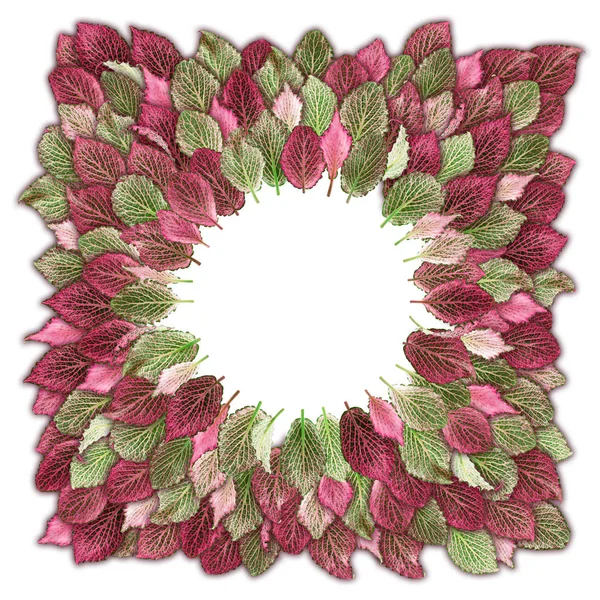 Folhas Exóticas Verde Rosa Decorado Círculo Pode Ser Usado Como — Fotografia de Stock