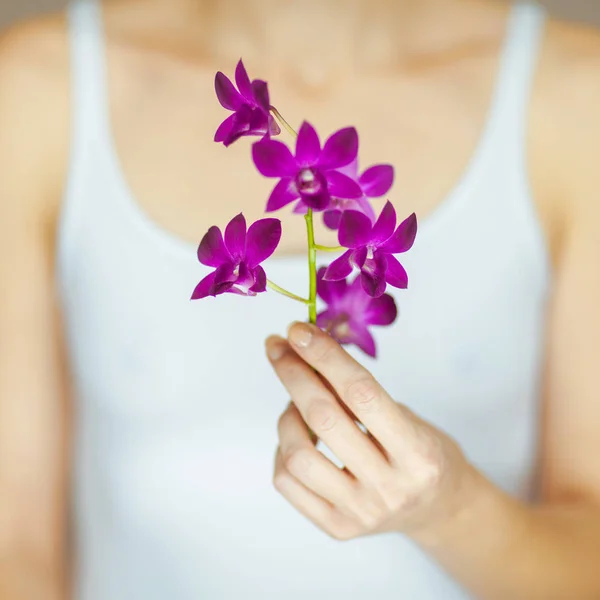 女性両手のいくつかの紫の蘭の花 官能的なスタジオ撮影をバック グラウンドとして使用できます — ストック写真