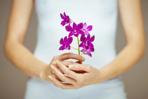 Manos Mujer Sosteniendo Algunas Flores Violetas Orquídea Tiro Sensual Del — Foto de Stock