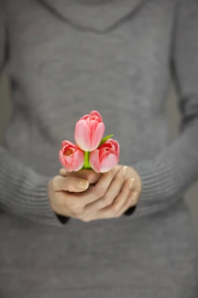 Žena Rukou Dokonalou Modeláž Drží Růžové Jarní Květiny Tulipány Smyslné — Stock fotografie