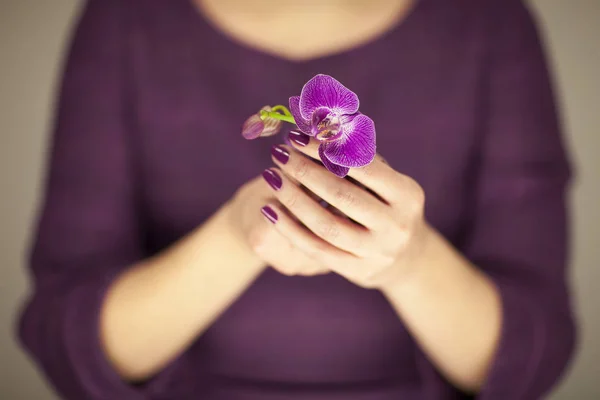 Woman Violett Dress Hands Holding Some Orchid Flowers Sensual Studio — Stock Photo, Image