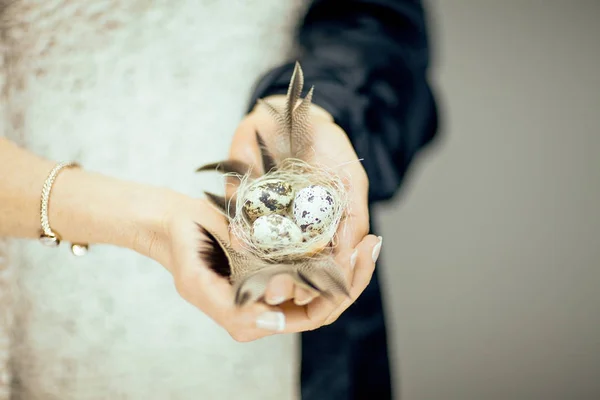 Woman Hands Holding Birdnest Her Hands Light Pastel Colors Can — Stock Photo, Image