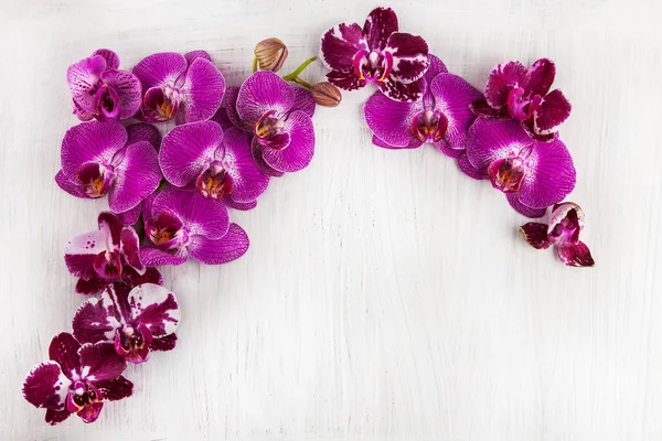 紫兰花花装饰在木头可以作为背景与自由空间为您的文本 — 图库照片