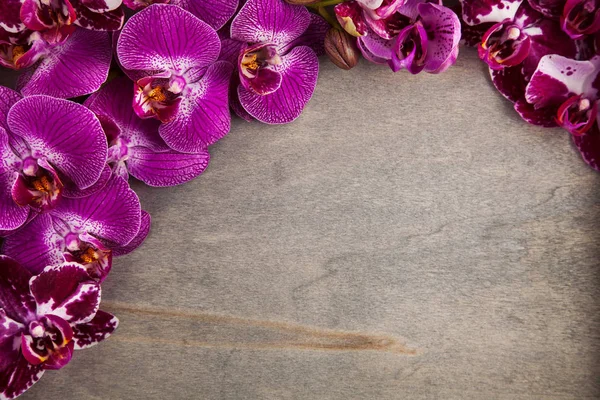 Las Flores Violetas Orquídea Púrpura Decoradas Madera Pueden Utilizar Como —  Fotos de Stock
