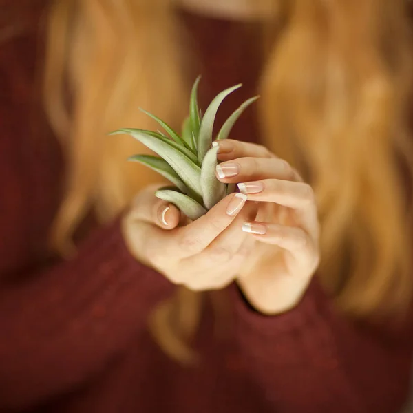 Vrouw Handen Met Een Kleine Cactus Kan Sensuele Studio Schot — Stockfoto