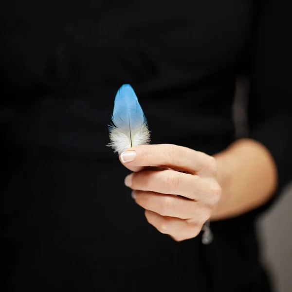 Woman Hand Holding Exotic Bird Feather Sensual Studio Shot Black — Stock Photo, Image