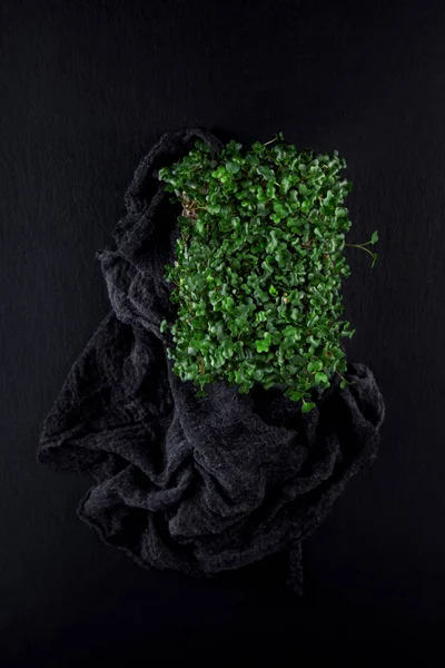 Verse Tuin Kress Klaar Oogsten Voor Salat Zwarte Leisteen Keuken — Stockfoto