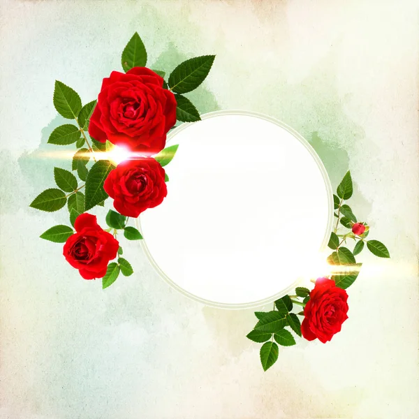 Piękne Czerwone Róże Urządzone Wolnego Pola Mogą Być Używane Jako — Zdjęcie stockowe