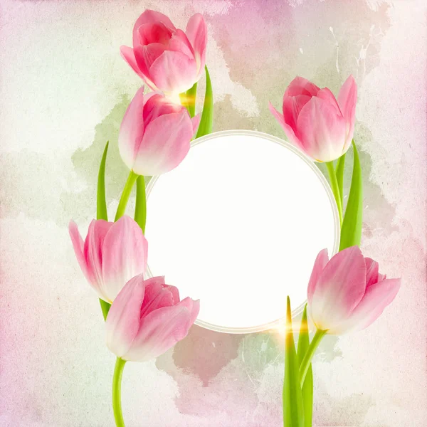 Friss Tulipánok Díszítik Szabad Területen Használható Háttérként Vagy Egy Meghívás — Stock Fotó