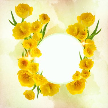 güzel taze Lale ücretsiz bir sahada dekore edilmiş arka plan veya bir davetiye kartı boş alan olarak metniniz için kullanılabilir