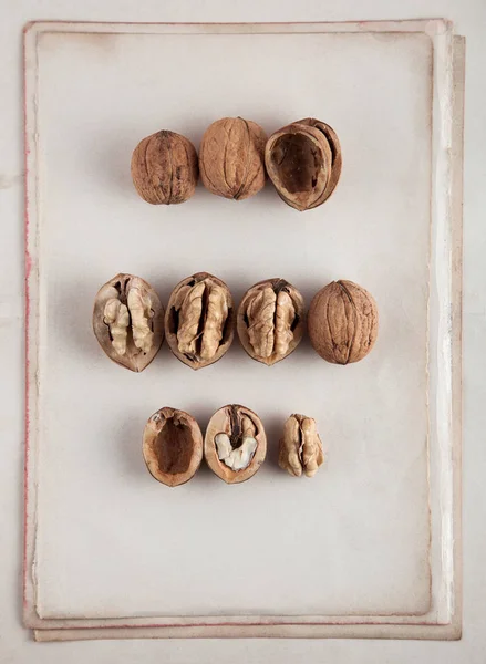 Krásně Prezentovaná Vlašské Ořechy Staré Knize Stránky Lze Použít Jako — Stock fotografie