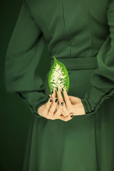 Femme Vert Robe Mains Tenant Quelques Feuilles Tropicales Sensuel Studio — Photo