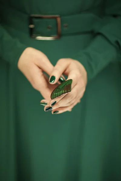 Woman Hand Holding Exotic Butterfly Wing Sensual Studio Shot Green — Stock Photo, Image