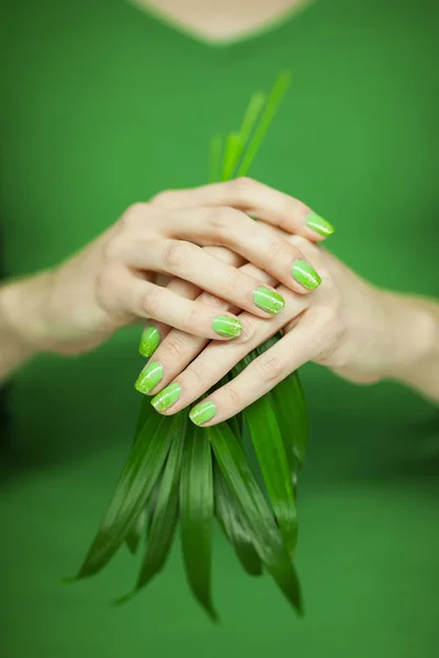 Mains Femme Avec Vernis Ongles Vert Tenant Quelques Feuilles Tropicales — Photo