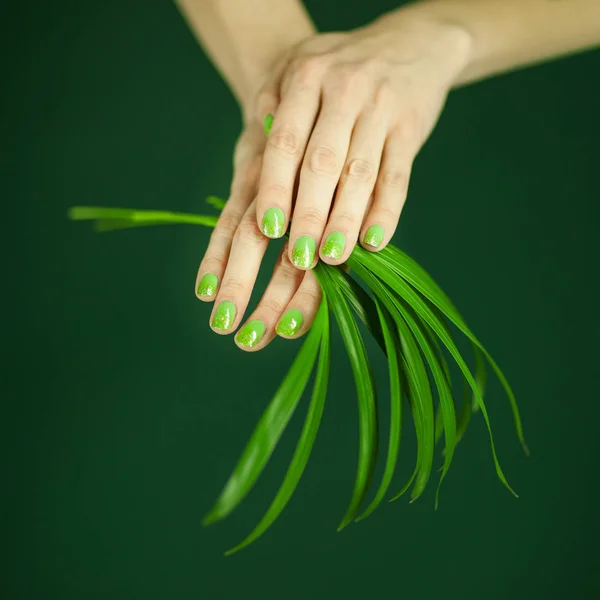 保持いくつかの熱帯緑の爪のポーランド語の女性の手の葉 官能的なスタジオ撮影をバック グラウンドとして使用できます — ストック写真