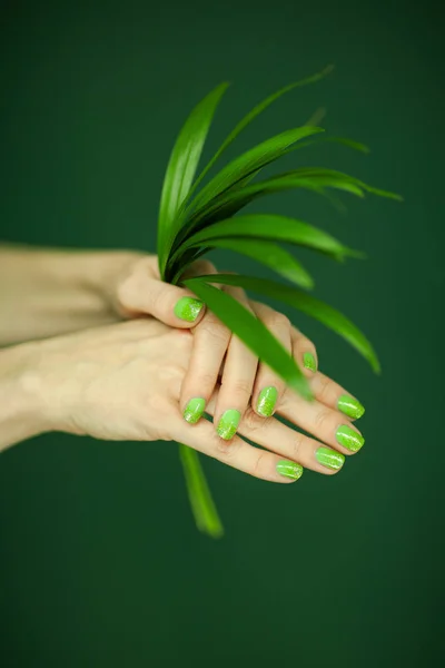 Manos Mujer Con Esmalte Uñas Verde Sosteniendo Algunas Hojas Tropicales —  Fotos de Stock