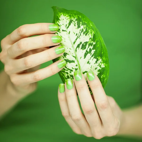 Mãos Mulher Com Esmalte Unha Verde Segurando Algumas Folhas Tropicais — Fotografia de Stock