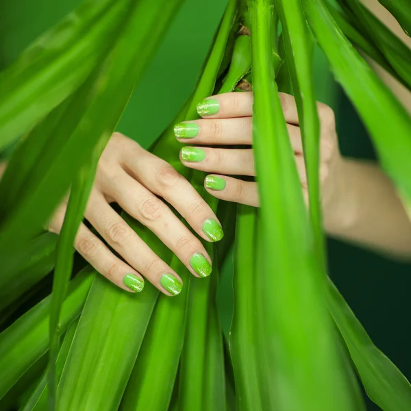 Mãos Mulher Com Esmalte Unha Verde Segurando Algumas Folhas Tropicais — Fotografia de Stock