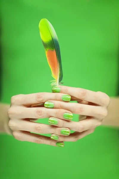woman hand holding exotic bird feather, sensual studio shot with black background