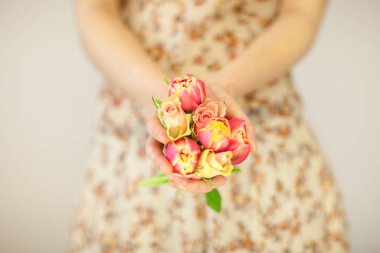 Bahar çiçek Lale ve gül holding kadın eller, Bahar çiçek elbise, şehvetli stüdyo çekim arka plan olarak kullanılabilir