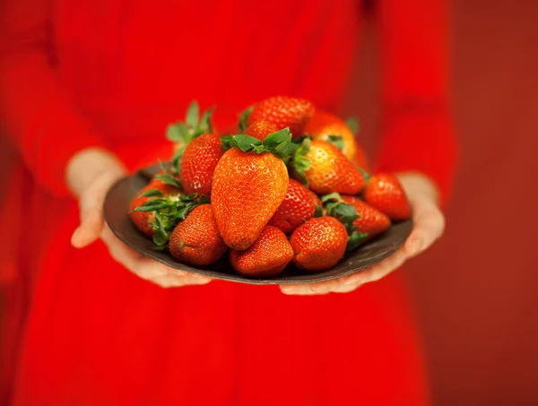 Beautiful Woman Hands Holding Plate Strawberries Her Hands Red Red — Stock Photo, Image