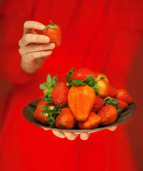 Beautiful Woman Hands Holding Plate Strawberries Her Hands Red Red — Stock Photo, Image