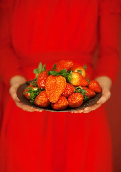 Hermosas Manos Mujer Sosteniendo Plato Con Fresas Las Manos Rojo — Foto de Stock