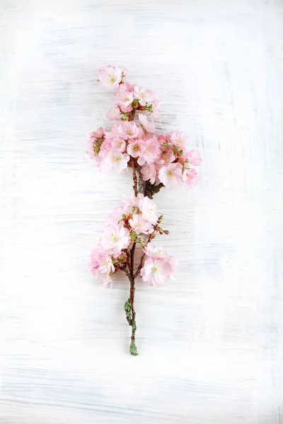 Schattig Kersenbloesem Bloemen Witte Houten Achtergrond Vrije Ruimte Voor Tekst — Stockfoto