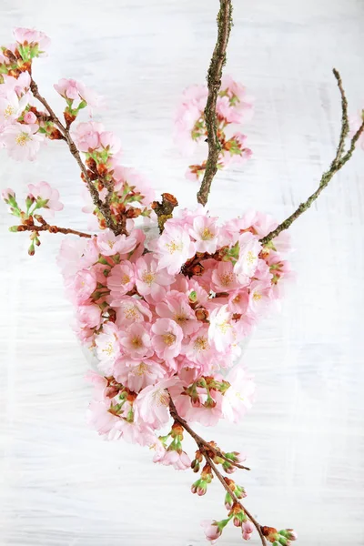 Adorable Cherry Blossom Flowers White Wood Background Free Space Your — Stock Photo, Image