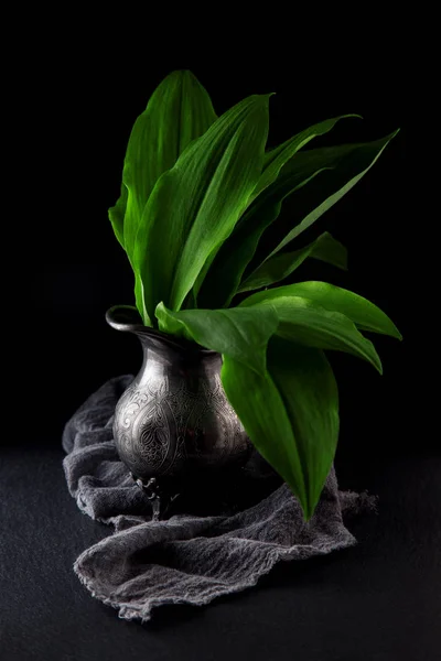 Intensely Fragrant Fresh Green Wild Garlic Herbs Decorated Rustic Dark — Stock Photo, Image