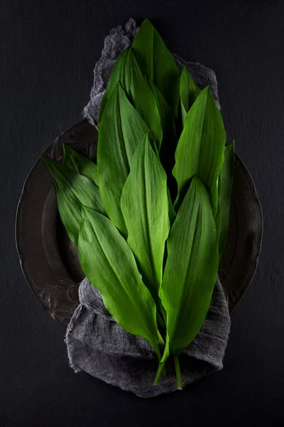 Intensely Fragrant Fresh Green Wild Garlic Herbs Decorated Rustic Dark — Stock Photo, Image