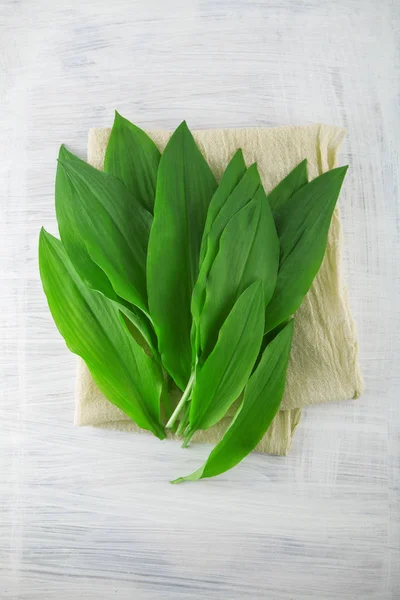 Intensely Fragrant Fresh Green Wild Garlic Herbs Decorated Rustic White — Stock Photo, Image